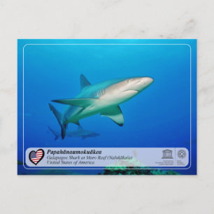 Cartão Postal UNESCO - Papahānaumokuākea - Cartão-postal de M