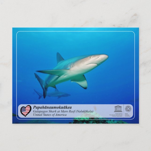 Cartão Postal UNESCO - Papahānaumokuākea - Cartão-postal de Maro (Frente)