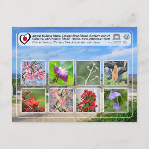 Cartão Postal UNESCO - Parte norte da Ilha de Okinawa - 沖縄島北部