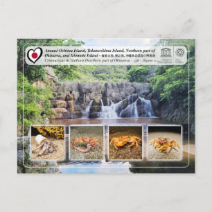 Cartão Postal UNESCO - parte Norte da ilha de Okinawa - 沖 縄 