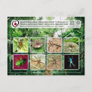 Cartão Postal UNESCO - parte Norte da ilha de Okinawa - 沖 縄 島 北