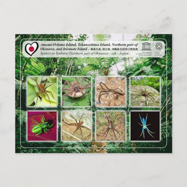 Cartão Postal UNESCO - parte Norte da ilha de Okinawa - 沖 縄 島 北  (Frente)