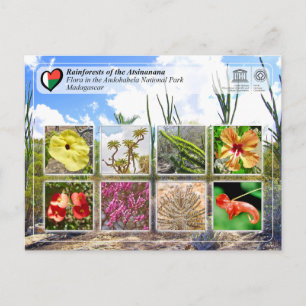 Cartão Postal UNESCO WHS - Atsinanana - Parque Nacional de Andoh