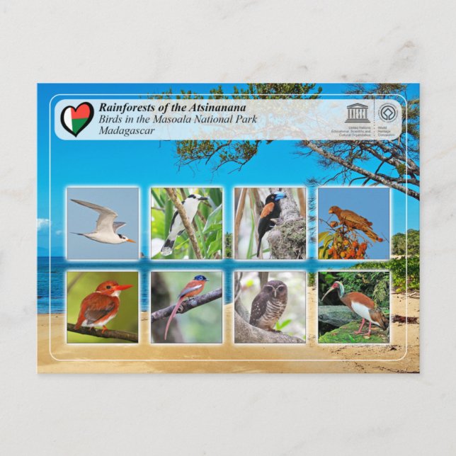 Cartão Postal UNESCO WHS - Atsinanana - Parque Nacional de Masoa (Frente)