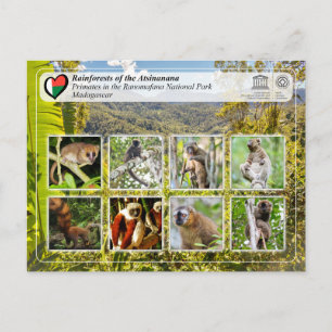 Cartão Postal UNESCO WHS - Atsinanana - Parque Nacional de Ranom