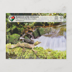 Cartão Postal UNESCO WHS - Atsinanana - Parque Nacional de Ranom