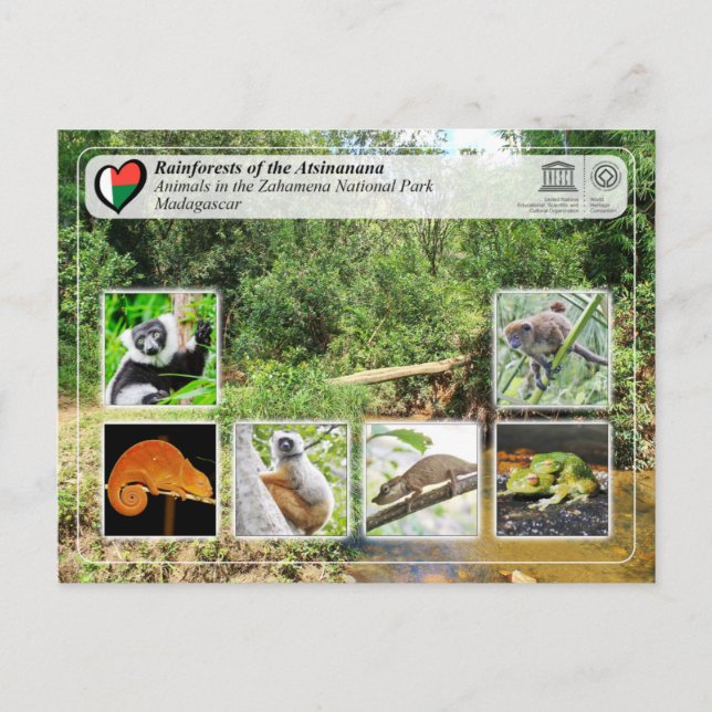 Cartão Postal UNESCO WHS - Atsinanana - Parque Nacional do Zaham (Frente)