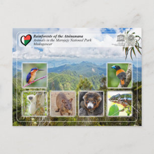 Cartão Postal UNESCO WHS - Atsinanana - Parque Nacional Marojejy