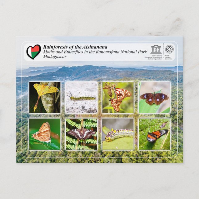 Cartão Postal UNESCO WHS - Atsinanana - Ranomafana National Park (Frente)