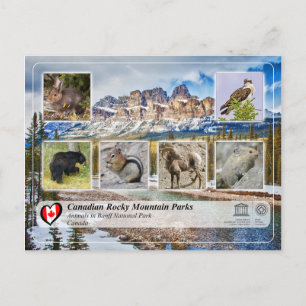 Cartão Postal UNESCO WHS - Banff National Park