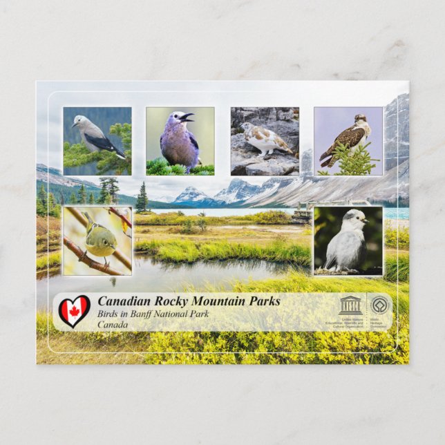 Cartão Postal UNESCO WHS - Banff National Park (Frente)