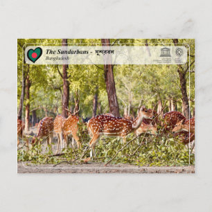 Cartão Postal Unesco WHS - Os Sundarbans