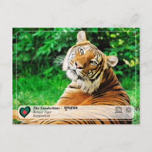 Cartão Postal Unesco WHS - Os Sundarbans