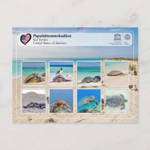 Cartão Postal UNESCO WHS - Papahānaumokuākea - Tartarugas do Mar