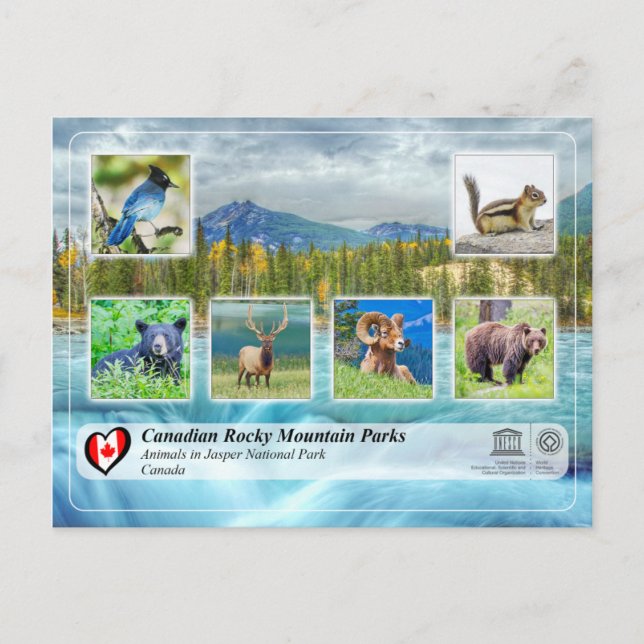 Cartão Postal UNESCO WHS - Parque Nacional Jasper (Frente)