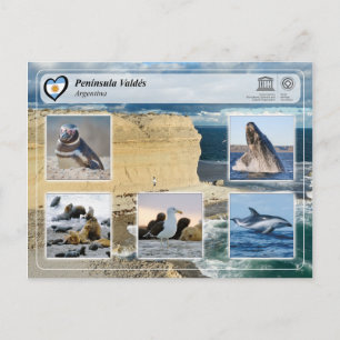 Cartão Postal UNESCO WHS - Península Valdés