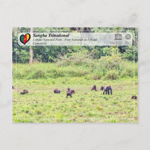 Cartão Postal UNESCO WHS - Sangha Trinacional - Lobéké