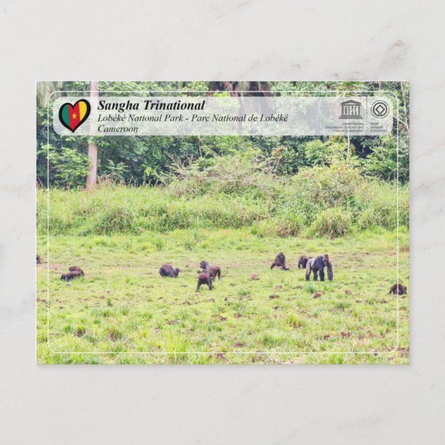 Cartão Postal UNESCO WHS - Sangha Trinacional - Lobéké (Frente)