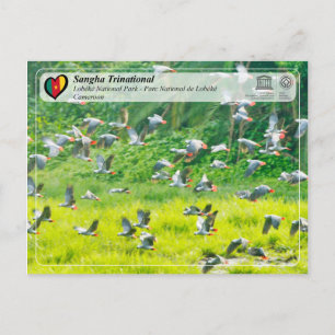 Cartão Postal UNESCO WHS - Sangha Trinacional - Lobéké