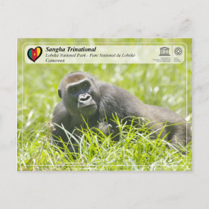 Cartão Postal UNESCO WHS - Sangha Trinacional - Lobéké