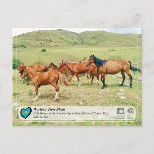 Cartão Postal UNESCO WHS - Tian Shan Ocidental - Sairam-Ugam