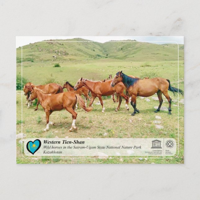 Cartão Postal UNESCO WHS - Tian Shan Ocidental - Sairam-Ugam (Frente)