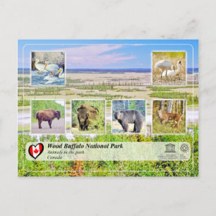 Cartão Postal UNESCO WHT - Parque Nacional do Búfalo