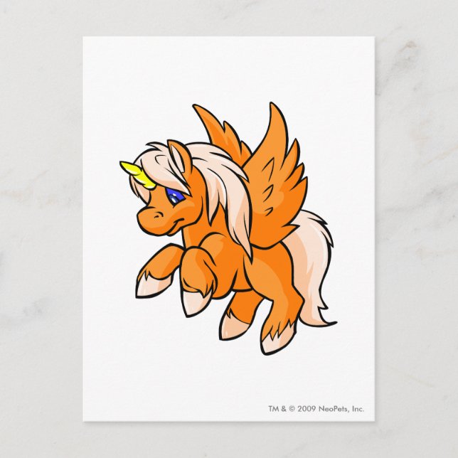 Cartão Postal Uni Orange (Frente)