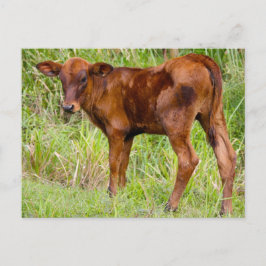 Cartão Postal União Vale