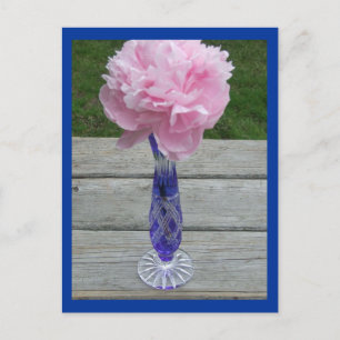 Cartão Postal Única Peônia Rosa em Vaso de Cristal Azul César