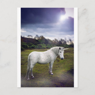 CARTÃO POSTAL UNICORN