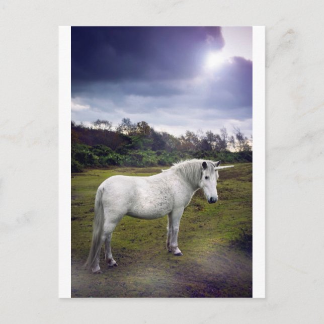 CARTÃO POSTAL UNICORN (Frente)