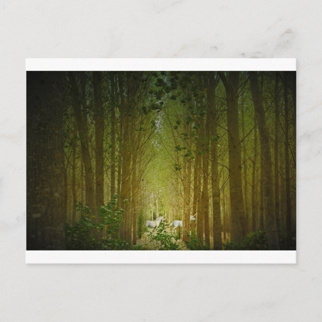 Cartão Postal Unicórnios (Frente)