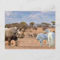 Unicórnios Esconderijo Rinoceronte África
