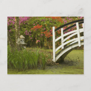 Cartão Postal United States; South Carolina; Charleston; 2