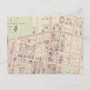 Cartão Postal Universidade Brown