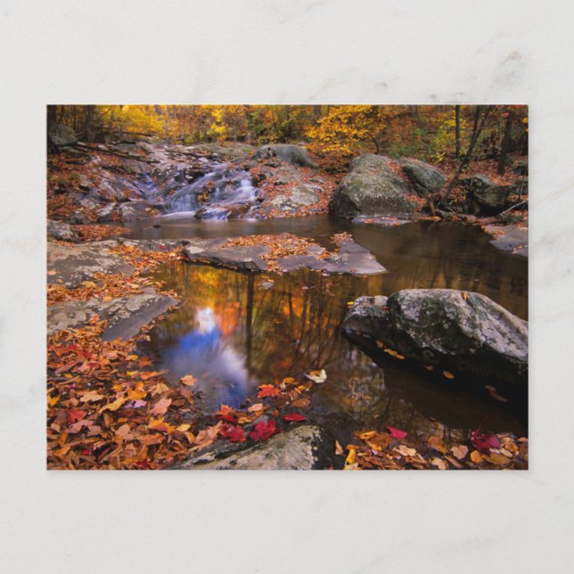 Cartão Postal Upper Whiteoak Falls, Parque Nacional de Shenandoa (Frente)