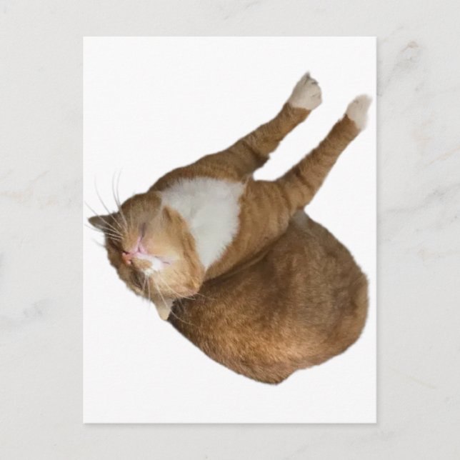 Cartão Postal Upside-Down Sunshine (Frente)