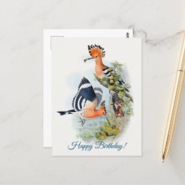 Cartão Postal Upupa Epops