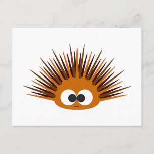 Cartão Postal Urchin do Mar de Laranja-Corte