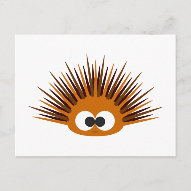Cartão Postal Urchin do Mar de Laranja-Corte (Frente)