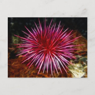 Cartão Postal Urchin Roxo