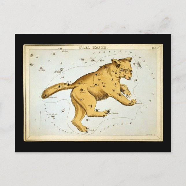 Cartão Postal Ursa Maior Vintage Urso (Frente)