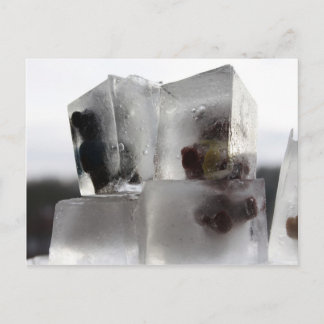 Cartão Postal Ursinho