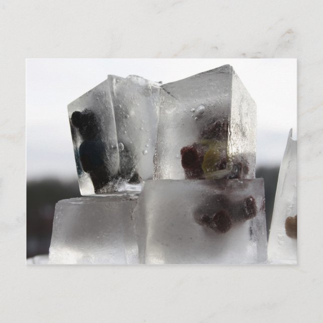 Cartão Postal Ursinho (Frente)