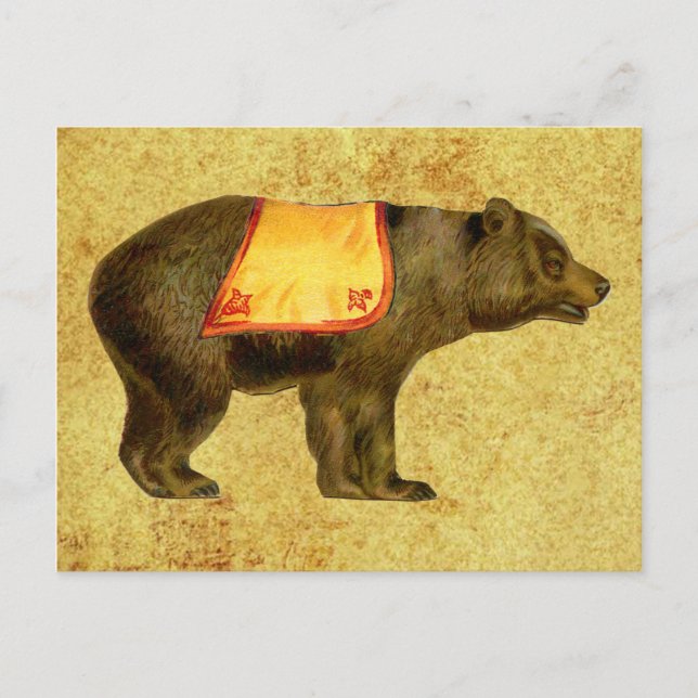 Cartão Postal ursinho-circo vintage (Frente)