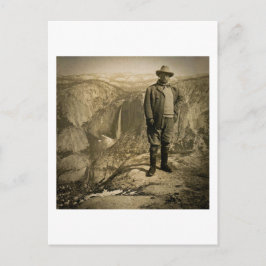 Cartão Postal Ursinho Roosevelt Glacier Point Yosemite Valley