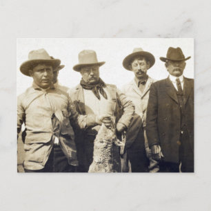 Cartão Postal Ursinho Roosevelt Wolf Hunting, 1905