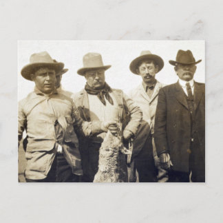 Cartão Postal Ursinho Roosevelt Wolf Hunting, 1905