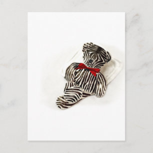Cartão Postal Ursinho Zebra